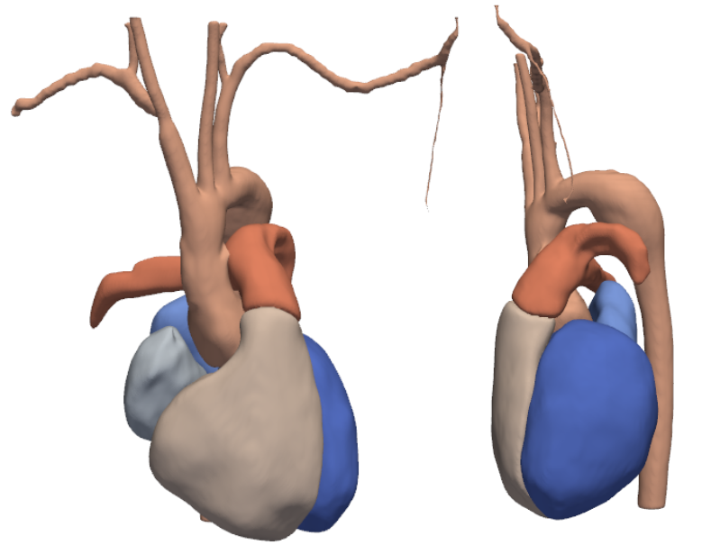 fimh_2025_cropped.png